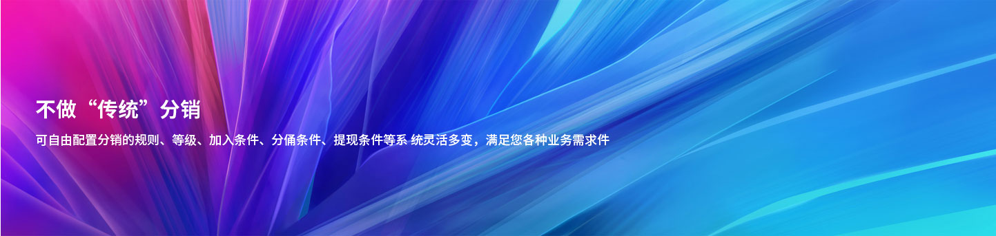 网络分销系统